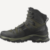 Ботинки QUEST 4 GTX (RU 43 UK 9.5 USm 10 СМ 27.5; olive night/peat/safari)